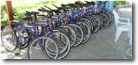 Bicycle Rentals | Jardines del Rey