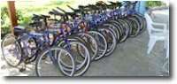 Bicycle Rentals | Jardines del Rey