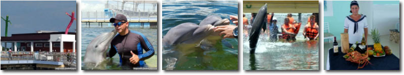 Dolphinarium in Cayo Coc, Cuba