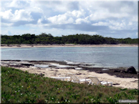 Playa Prohibida